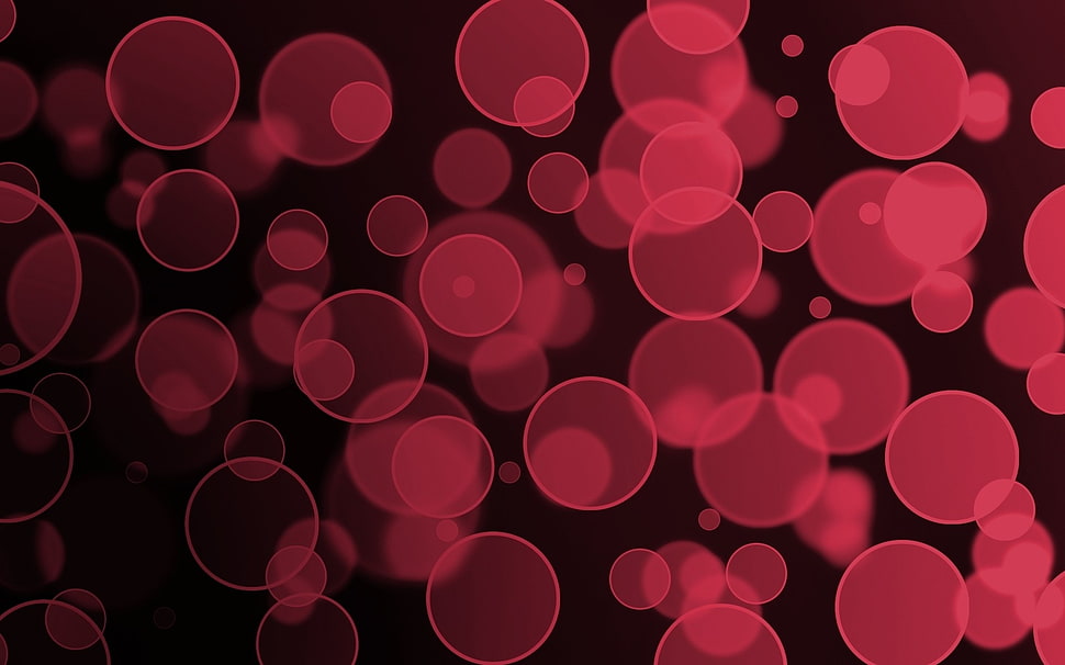 red and black polka dot wallpaper HD wallpaper